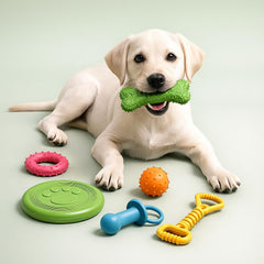 Jalousie interactive rope toy aids grip and tug play.