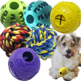 Jalousie dog puzzle balls packaging showing colorful set for playtime