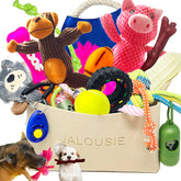 Jalousie dog squeaky toy multi-pack shows interactive play for small-to-medium dogs.