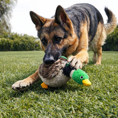 Jalousie dog squeaky toy wolf no-stuffing promotes active play and long-lasting fun