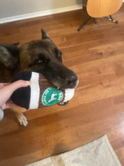 Jalousie donuts toy set 2 offers squeaky fun to reward gentle chewing and playtime.
