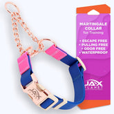 JAX PLANET jelly waterproof martingale collar buckle closeup highlighting durable design for training.