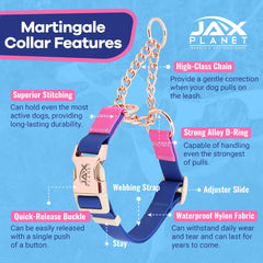 JAX PLANET no-pull martingale collar nylon strap demonstrates anti-pull function for easier walks.
