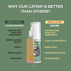 JAYU PET Catnip leaves fresh harvest illustrates natural source for stimulating play