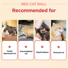 JAYU PET 2.7-inch cat ball size positioned for easy rolling and gentle bites