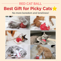 JAYU PET handmade silvervine ball stitching detail highlights craftsmanship and durability