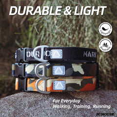 JC HOUSE dog collar neoprene padding highlights comfortable wear during daily walks.