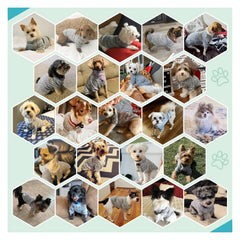 Jecikelon dog sweater color-palette showcases vibrant hues for style and mood.