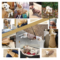 Jecikelon dog sweater size chart helps you pick the right fit.