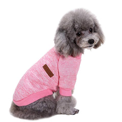 Jecikelon dog sweater worn by a small dog for chilly days