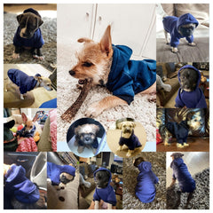 JECIKELON winter dog hoodie size-chart highlights size guidance for better fit
