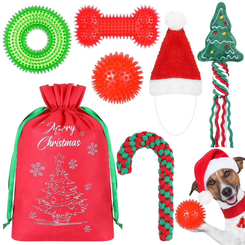 JellyArch Christmas dog toy set with festive shapes for indoor play
