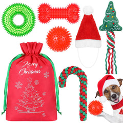 JellyArch Christmas dog toy set with festive shapes for indoor play
