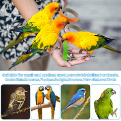 Jenaai 24pcs chew bagels parrots blue color supports exercise and beak conditioning