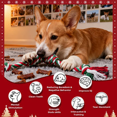 Jestrem Christmas dog toys 13-pack red-green-colors eye-catching holiday set for chewers