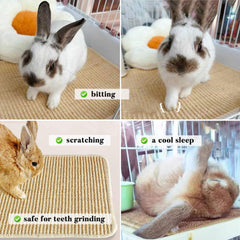 Jevnd scratch pad with hemmed edges protects rabbit paws during playtime