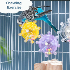 Jevnd acrylic chew toy emphasizing safe durable material