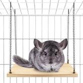Jevnd chinchilla swing toy setup for interactive cage enrichment during play.