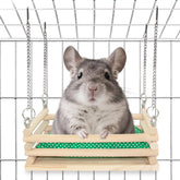 Jevnd wooden chinchilla hammock in cage provides a cozy resting spot and climbing fun.
