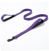 JEWOSTER heavy-duty leash with two handles for extra control on crowded streets