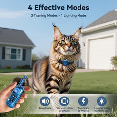 Jeyihka collar light mode helps locate a wandering cat during dusk walks.