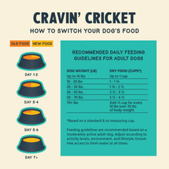 Jiminy's Cravin' Cricket dry dog food close-up shows cricket protein with quinoa and sweet potato.