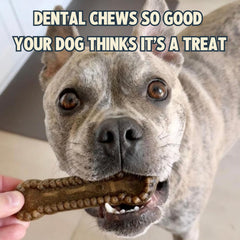 Jiminy's dental chews cinnamon closeup emphasizes tasty aroma that dogs often enjoy.