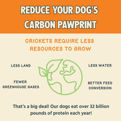 Jiminy's hypoallergenic cricket protein treats, gentle for sensitive dogs.