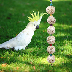 Jinkoozz Bird Chewing Toy: Colorful beads enhance visual stimulation during play.