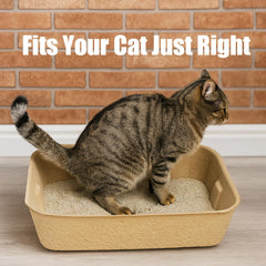 JINVOGREEN easy-cleanup-tray enables quick disposal after use.