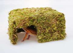 Jinymral gecko tank durable wire mesh supports reshaping for customizable decor.