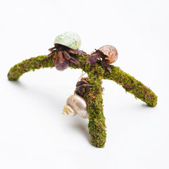 Jinymral Hermit Crab Climbing Toy packaged for quick setup in any habitat.