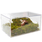Jinymral pet snail terrarium front view; crystal-clear acrylic for easy observation