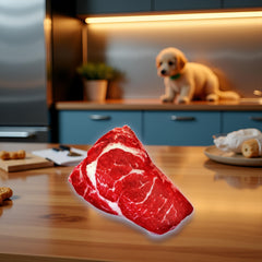 Jizlan Realistic Steak Plush Toy in play scene demonstrates engagement and gentle exercise.