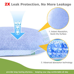 JOCCIK dog diaper liners SAP core traps liquids and reduces odors.
