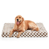 JOEJOY large dog bed with plush sherpa top for cozy, calming naps.