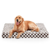 JOEJOY dog bed orthopedic-egg-crate-foam highlights joint-supporting comfort for large dogs.