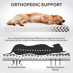 JOEJOY plaid-pattern surface promotes a calming aesthetic for anxious dogs.