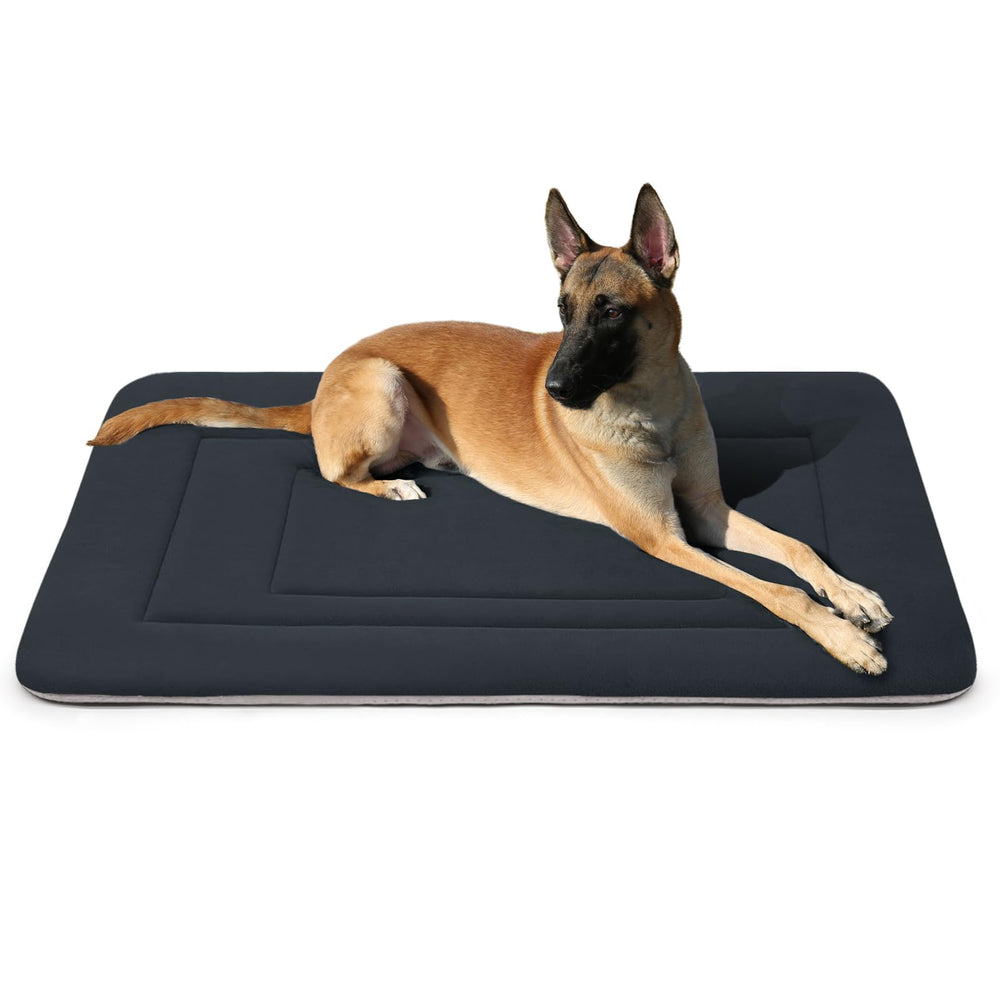 JoicyCo dog bed with soft plush surface for cozy resting.