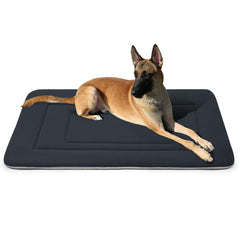JoicyCo dog bed with soft plush surface for cozy resting.