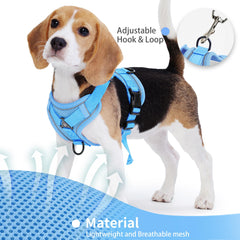 Jolifield 5ft leash swivel image showcases tangle-free training and secure control.