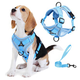 Jolifield No-Pull Harness front view demonstrates secure, comfortable fit for daily small-dog walks.