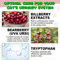 Jollifish cat urinary care ingredients highlight cranberry, pumpkin seed, and marshmallow root benefits.