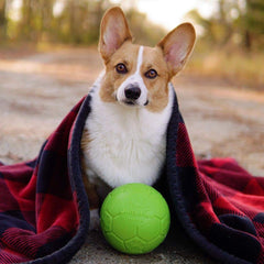 Balón con textura de agarre para perros incluso mojado.