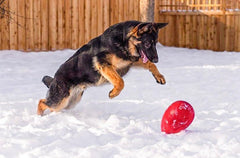 Jolly Pets Jolly Egg flota en agua, ideal para juegos acuáticos.
