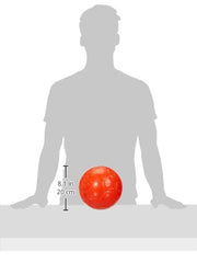 Jolly Pets soccer ball water-retrieval scene highlights buoyant fetch fun.