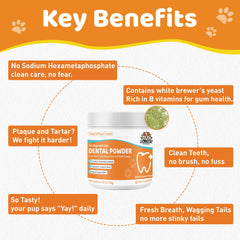 Jollyfit Dog Teeth Cleaning Powder jar closeup highlights probiotic ingredients for oral balance