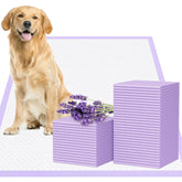 JollyMate 28x34 XL dog pee pad with six-layer absorption for quick liquid lock