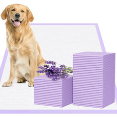 JollyMate 28x34 XL dog pee pad with six-layer absorption for quick liquid lock