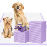 JollyMate XL 36x36 dog pee pad shows generous coverage and strong absorption for training.